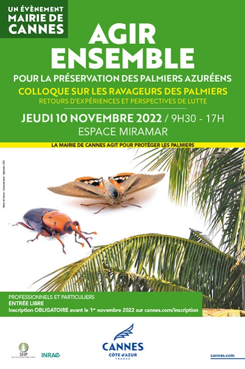 Red Palm Weevil Cannes 2022